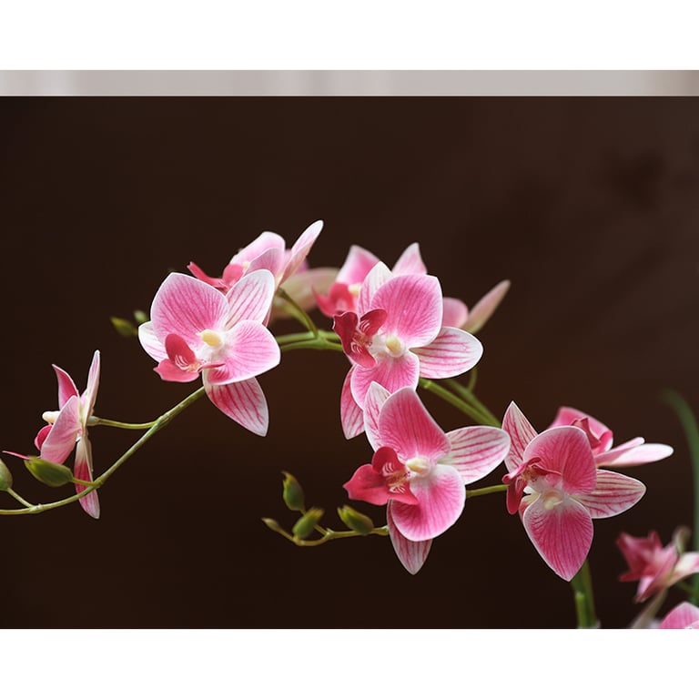 Silicone-Feel Dove Orchid Artificial Flower Arrangement | Modern Minimalist Home Decor thumbnail 3