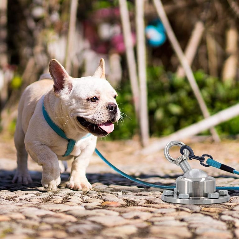 Stainless Steel Dog Tethering Stake with Wire Rope Leash | Canada thumbnail 4