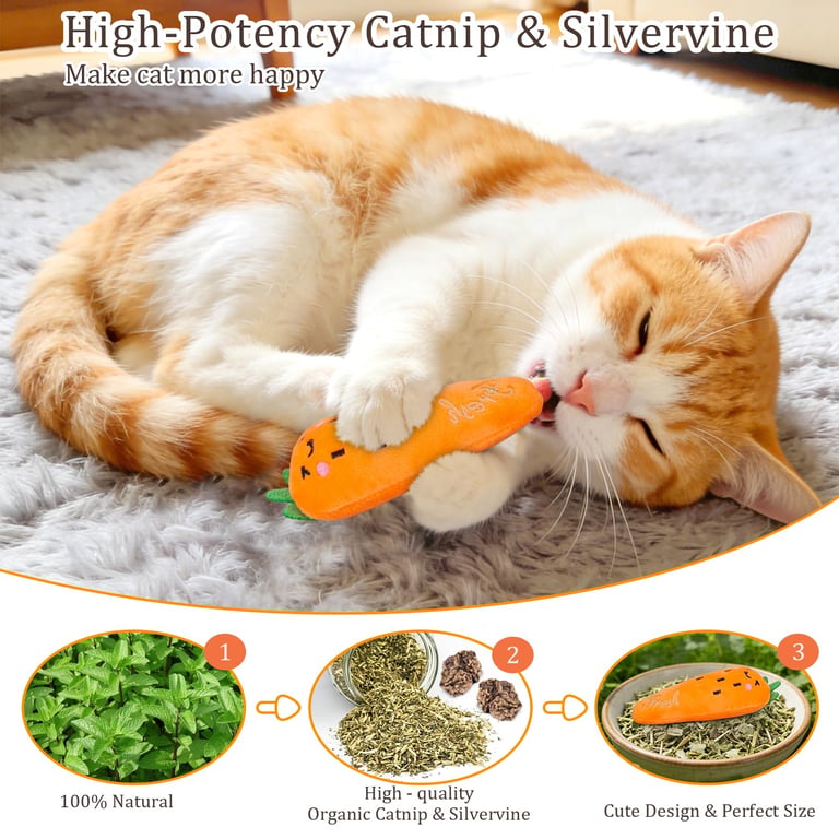 Catnip Cat Toys 5-Pack | Plush Vegetable Kicker Toys for Indoor Cats thumbnail 7
