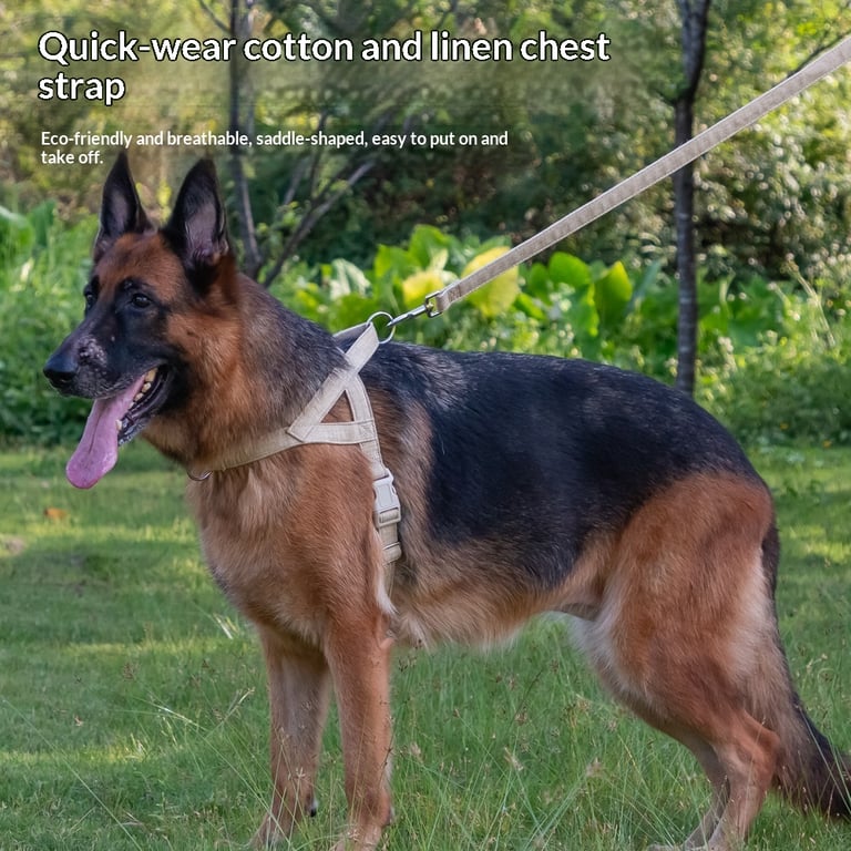Easy-to-Cover Dog Leash Harness with Hand Holding Rope | Medium-Large thumbnail 13