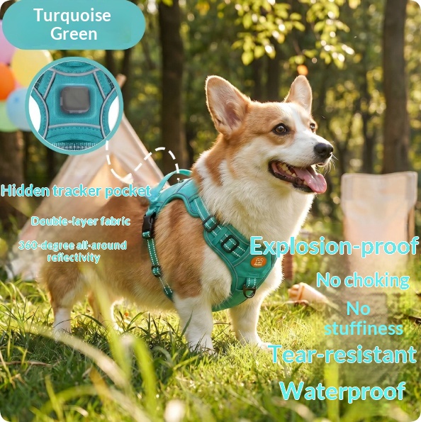 Harness-Style Reflective Dog Leash with Anti-Pull Feature | Captain Fam thumbnail 5