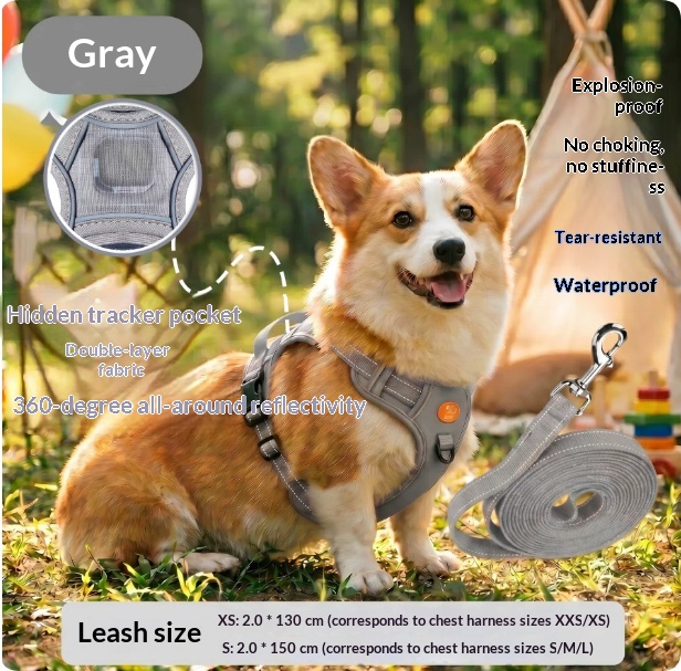 Harness-Style Reflective Dog Leash with Anti-Pull Feature | Captain Fam thumbnail 10