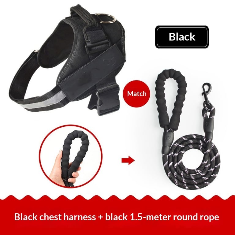 Vest-Style Dog Harness with Rope Leash | Padded Comfort Set thumbnail 4