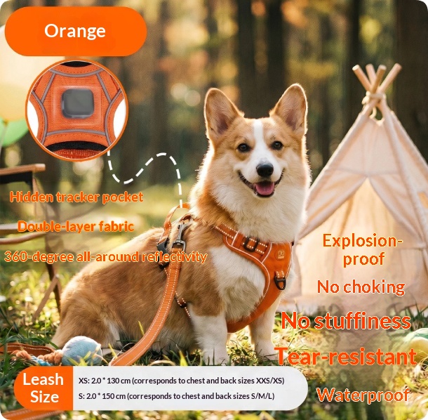 Harness-Style Reflective Dog Leash with Anti-Pull Feature | Captain Fam thumbnail 3