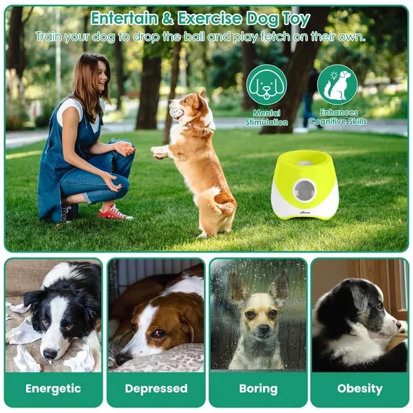 Automatic Dog Ball Launcher Rechargeable | 3 Distance Settings thumbnail 6