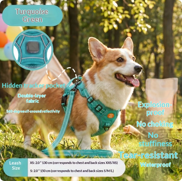 Harness-Style Reflective Dog Leash with Anti-Pull Feature | Captain Fam thumbnail 11