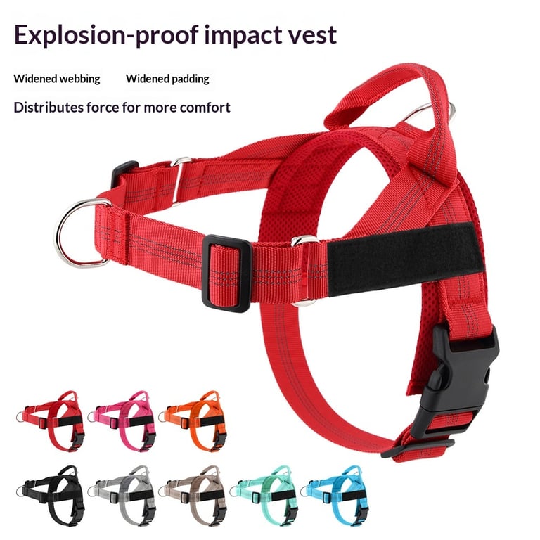 Easy-to-Cover Dog Leash Harness with Hand Holding Rope | Medium-Large thumbnail 11