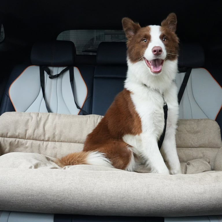 Rear-Seat Pet Bed for Cars | Dog Leash-Ready Safety Harness Clips thumbnail 4