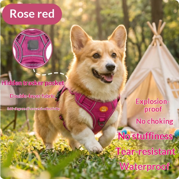 Harness-Style Reflective Dog Leash with Anti-Pull Feature | Captain Fam thumbnail 6
