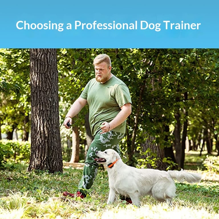 1km Remote Dog Training Collar | Waterproof PetSpy System thumbnail 8