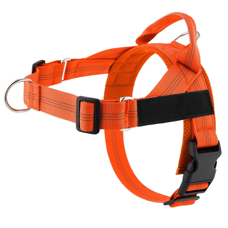 Easy-to-Cover Dog Leash Harness with Hand Holding Rope | Medium-Large thumbnail 6
