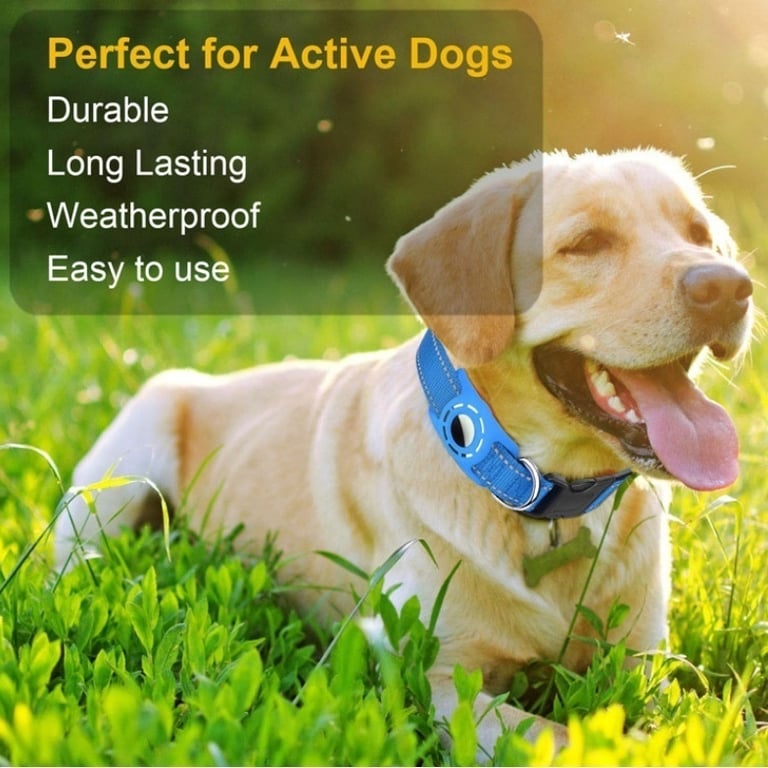 Reflective Dog Leash Collar with AirTag Holder | Anti-Lost Pet Safety thumbnail 8