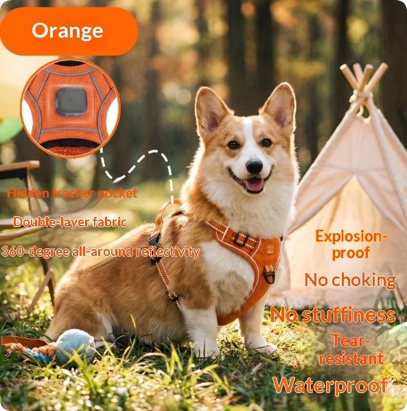 Harness-Style Reflective Dog Leash with Anti-Pull Feature | Captain Fam thumbnail 1