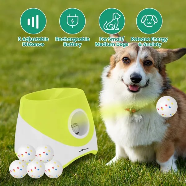 Automatic Dog Ball Launcher Rechargeable | 3 Distance Settings thumbnail 1