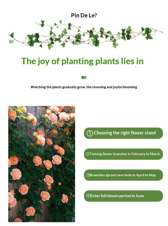 Climbing Plant Planter Box with Trellis | Vertical Garden Balcony thumbnail 3