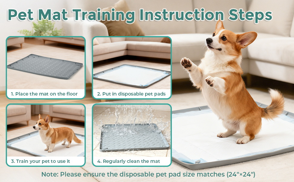 Silicone Pet Urine Pad Training Aid for Dogs | Reusable thumbnail 11