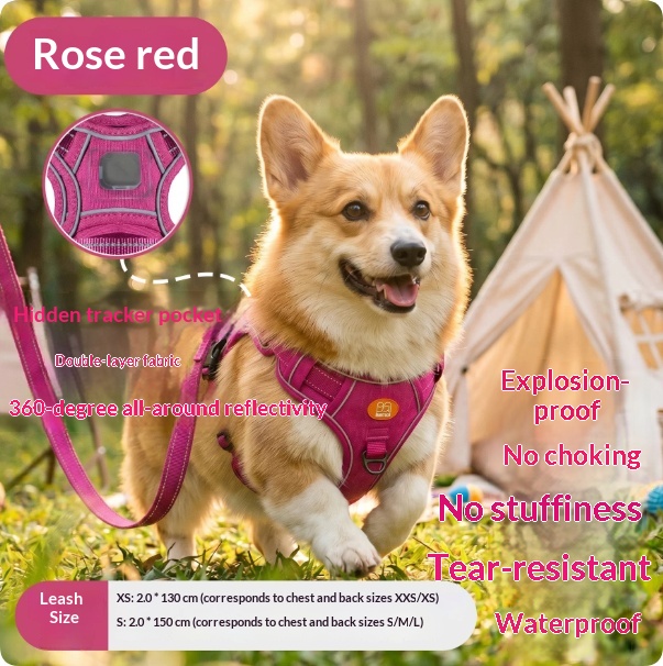 Harness-Style Reflective Dog Leash with Anti-Pull Feature | Captain Fam thumbnail 9