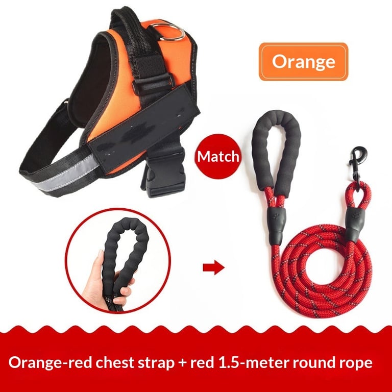 Vest-Style Dog Harness with Rope Leash | Padded Comfort Set thumbnail 7
