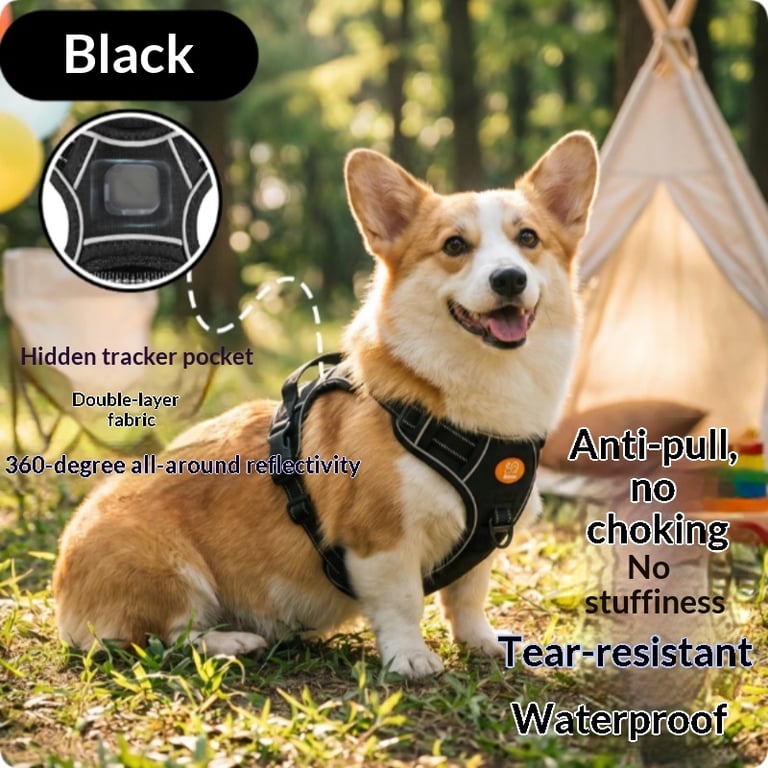 Harness-Style Reflective Dog Leash with Anti-Pull Feature | Captain Fam thumbnail 4