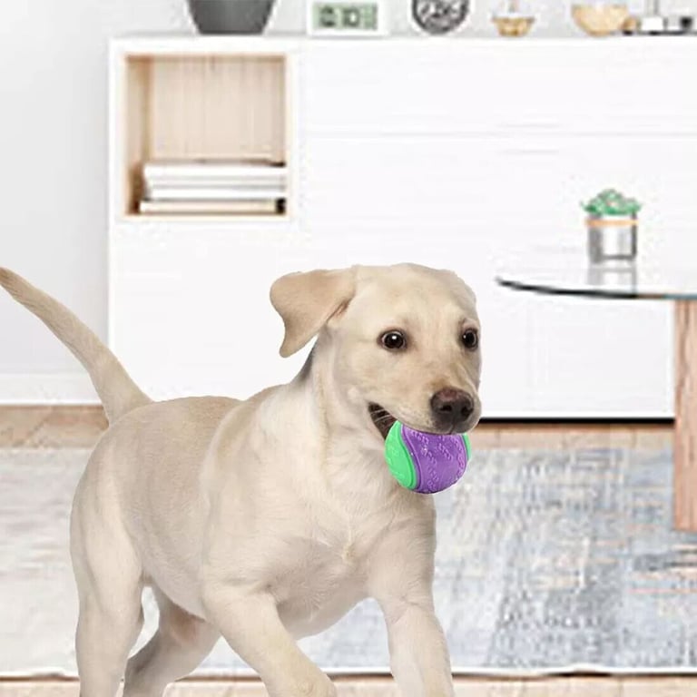 Scooby-Doo Squeaky Dog Balls Set of 8 | Teeth Cleaning Interactive Toys thumbnail 12