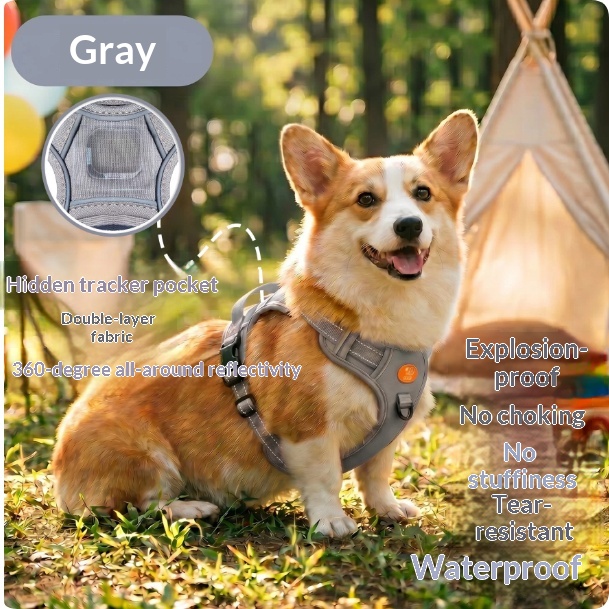 Harness-Style Reflective Dog Leash with Anti-Pull Feature | Captain Fam thumbnail 7
