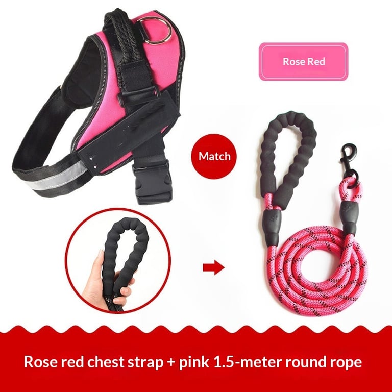 Vest-Style Dog Harness with Rope Leash | Padded Comfort Set thumbnail 5