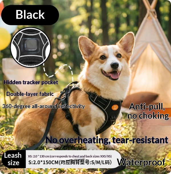 Harness-Style Reflective Dog Leash with Anti-Pull Feature | Captain Fam thumbnail 8