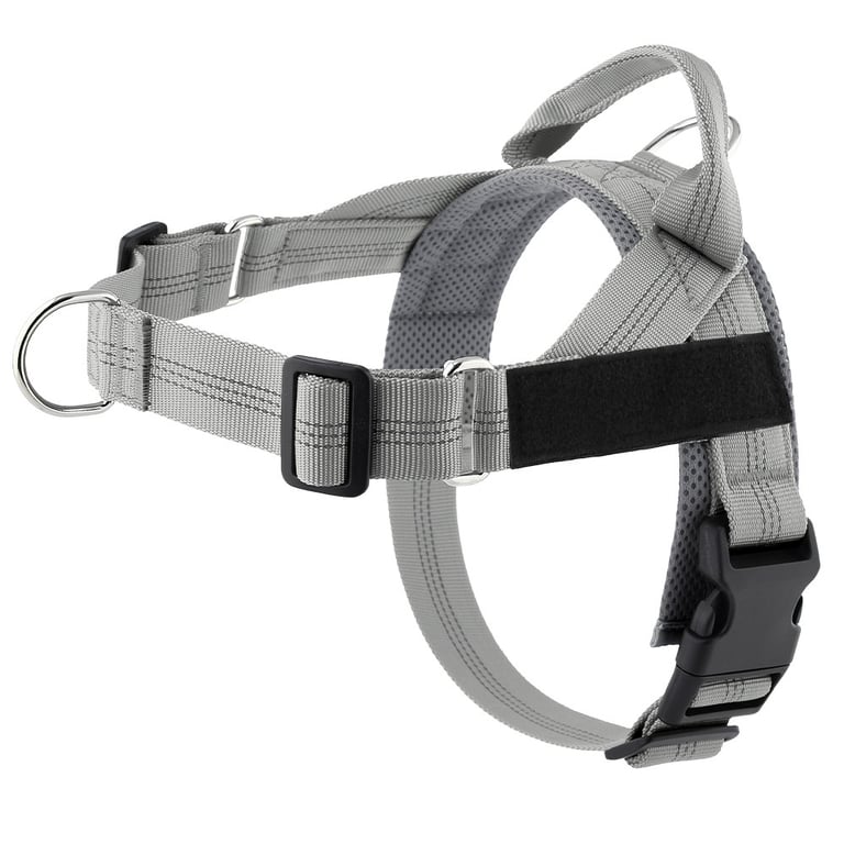 Easy-to-Cover Dog Leash Harness with Hand Holding Rope | Medium-Large thumbnail 4
