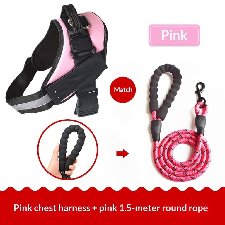 Vest-Style Dog Harness with Rope Leash | Padded Comfort Set thumbnail 2