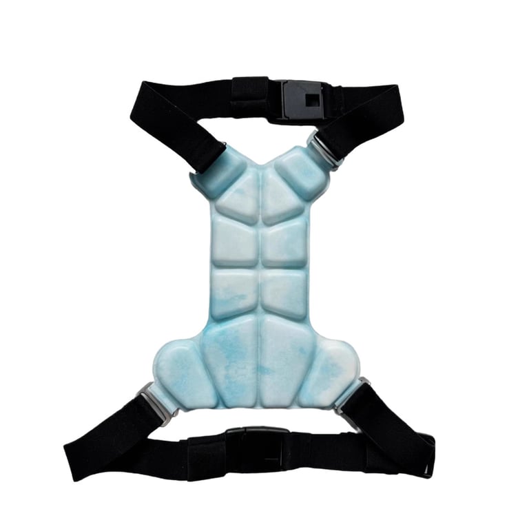Physical Cooling Phase Change Ice Pad For Dogs | Captain Fam