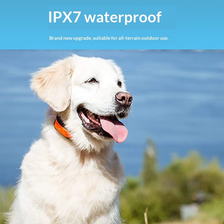 1km Remote Dog Training Collar | Waterproof PetSpy System thumbnail 5