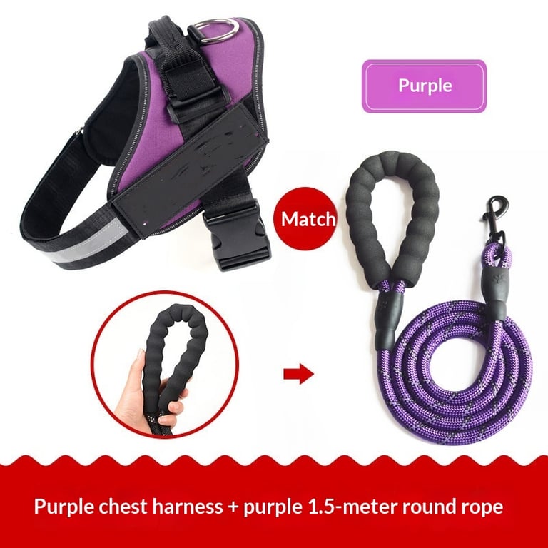 Vest-Style Dog Harness with Rope Leash | Padded Comfort Set thumbnail 6