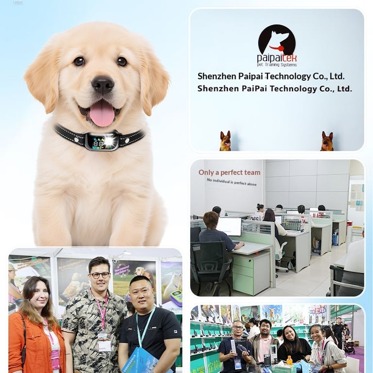 Remote Control Cat Training Collar | Waterproof Behavior Corrector thumbnail 16